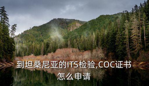 到坦桑尼亞的ITS檢驗(yàn),COC證書怎么申請