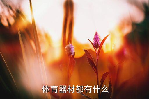  體育器材都有什么