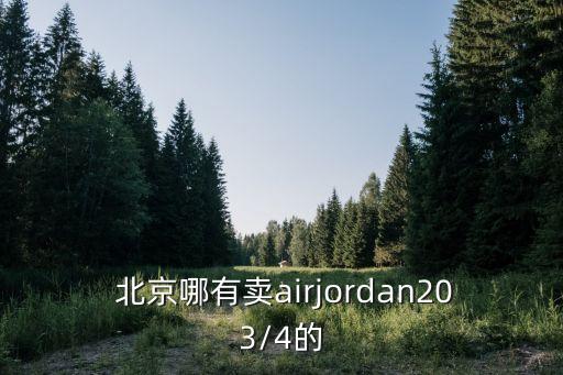  北京哪有賣airjordan203/4的