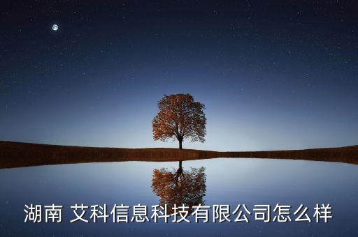 湖南 艾科信息科技有限公司怎么樣