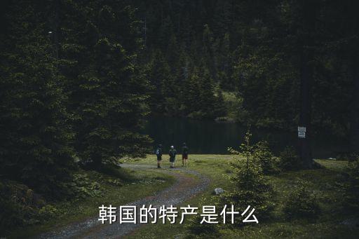 韓國的特產(chǎn)是什么