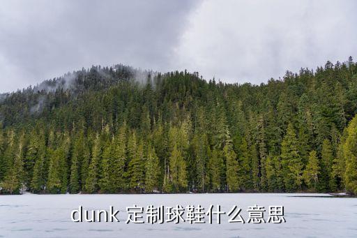 dunk 定制球鞋什么意思