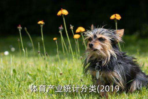  體育產(chǎn)業(yè)統(tǒng)計(jì)分類(2019