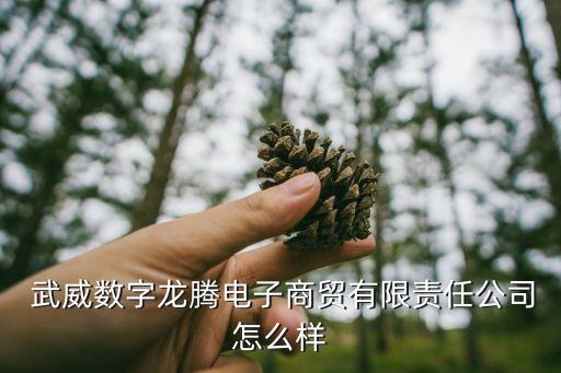  武威數(shù)字龍騰電子商貿(mào)有限責(zé)任公司怎么樣