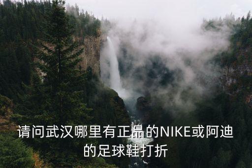 請(qǐng)問武漢哪里有正品的NIKE或阿迪的足球鞋打折