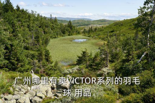 廣州哪里有賣VICTOR系列的羽毛球 用品