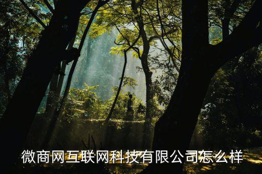  微商網(wǎng)互聯(lián)網(wǎng)科技有限公司怎么樣