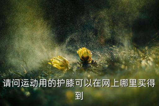 請問運動用的護膝可以在網(wǎng)上哪里買得到