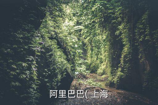 阿里巴巴( 上海