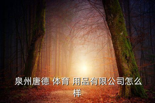  泉州唐德 體育 用品有限公司怎么樣