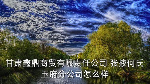 甘肅鑫鼎商貿(mào)有限責(zé)任公司 張掖何氏玉府分公司怎么樣