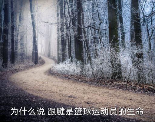 為什么說 跟腱是籃球運動員的生命