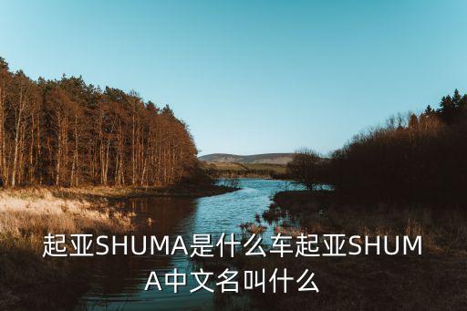 起亞SHUMA是什么車起亞SHUMA中文名叫什么