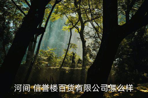 河間 信譽(yù)樓百貨有限公司怎么樣