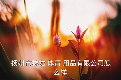  揚(yáng)州市林龍 體育 用品有限公司怎么樣