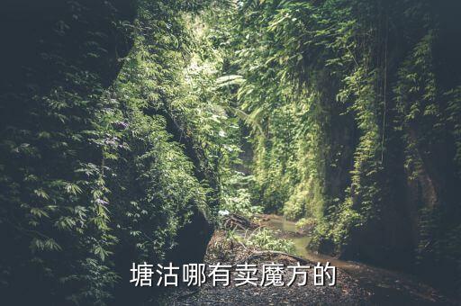  塘沽哪有賣魔方的