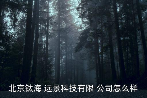 北京鈦海 遠(yuǎn)景科技有限 公司怎么樣