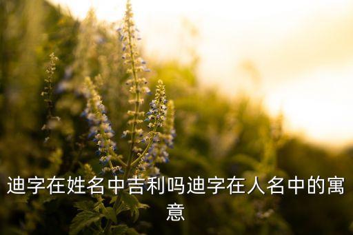 福州歡迪體育用品,福州體育用品批發(fā)市場(chǎng)在哪里