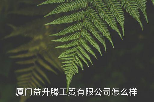 廈門益升騰工貿(mào)有限公司怎么樣