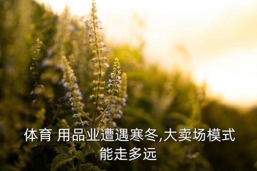  體育 用品業(yè)遭遇寒冬,大賣場模式能走多遠(yuǎn)