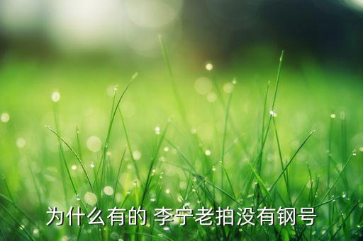 為什么有的 李寧老拍沒(méi)有鋼號(hào)