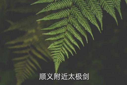  順義附近太極劍