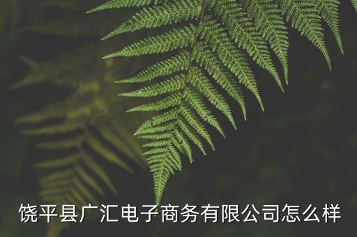  饒平縣廣匯電子商務(wù)有限公司怎么樣