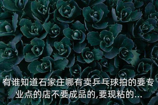 有誰知道石家莊哪有賣乒乓球拍的要專業(yè)點的店不要成品的,要現(xiàn)粘的...