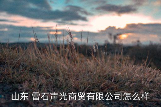 山東 雷石聲光商貿(mào)有限公司怎么樣