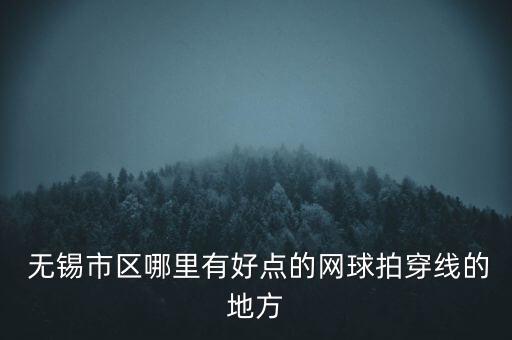  無(wú)錫市區(qū)哪里有好點(diǎn)的網(wǎng)球拍穿線的地方