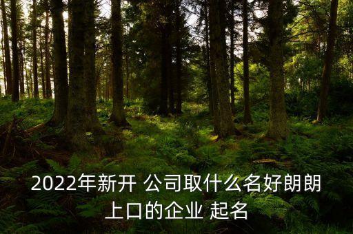 2022年新開(kāi) 公司取什么名好朗朗上口的企業(yè) 起名