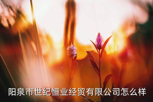  陽(yáng)泉市世紀(jì)恒業(yè)經(jīng)貿(mào)有限公司怎么樣