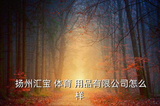  揚(yáng)州匯寶 體育 用品有限公司怎么樣