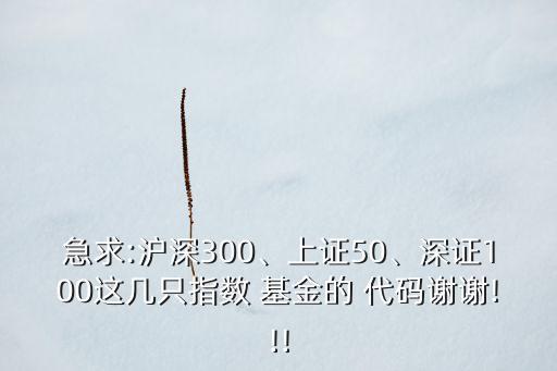 體育用品場內基金代碼,滬深300場內基金代碼