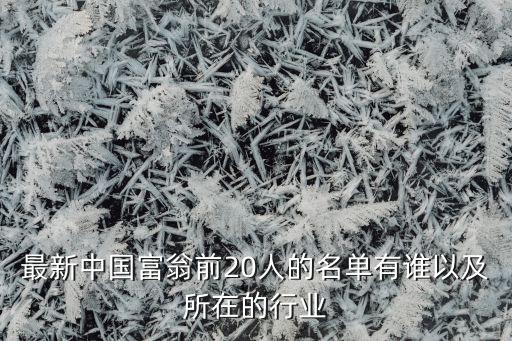 最新中國富翁前20人的名單有誰以及所在的行業(yè)