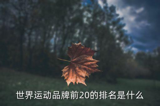 世界運(yùn)動(dòng)品牌前20的排名是什么