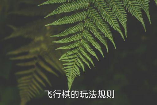  飛行棋的玩法規(guī)則