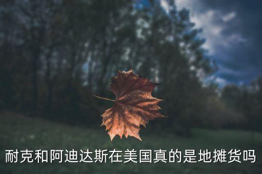 耐克和阿迪達(dá)斯在美國真的是地攤貨嗎