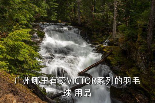 廣州哪里有賣VICTOR系列的羽毛球 用品