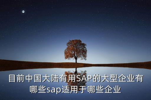 目前中國(guó)大陸有用SAP的大型企業(yè)有哪些sap適用于哪些企業(yè)