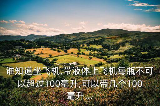 誰知道坐飛機,帶液體上飛機每瓶不可以超過100毫升,可以帶幾個100毫升...