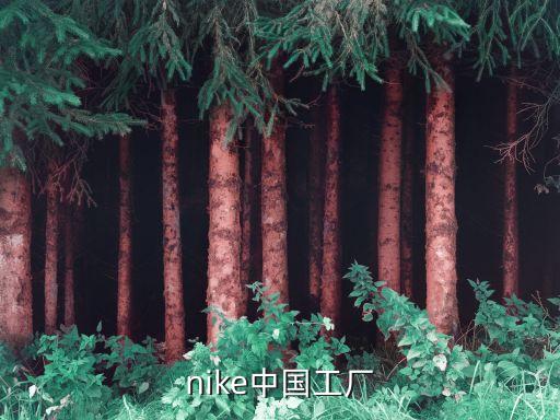 nike中國工廠