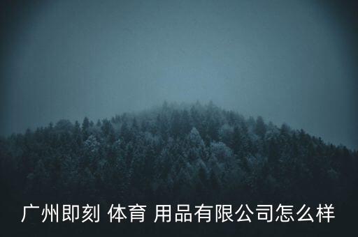 廣州即刻 體育 用品有限公司怎么樣