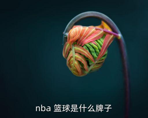 nba 籃球是什么牌子