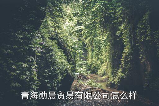 青海勛晨貿(mào)易有限公司怎么樣