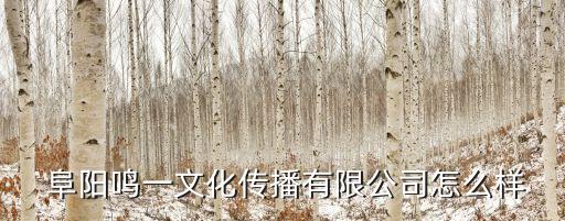  阜陽(yáng)鳴一文化傳播有限公司怎么樣