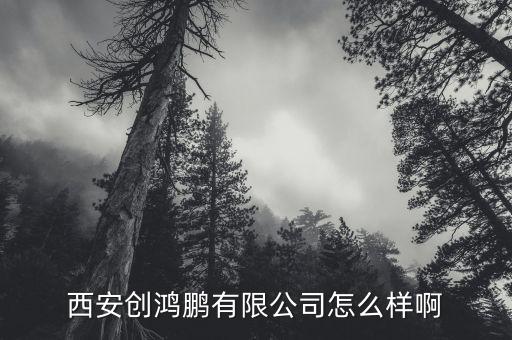 西安創(chuàng)鴻鵬有限公司怎么樣啊