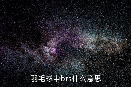  羽毛球中brs什么意思