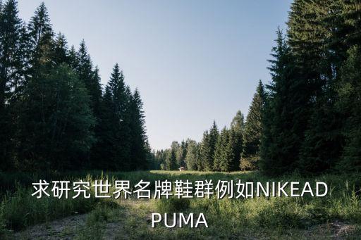 求研究世界名牌鞋群例如NIKEADPUMA