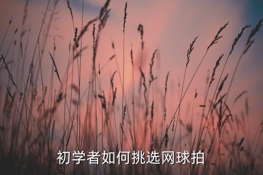 初學(xué)者如何挑選網(wǎng)球拍